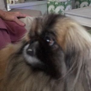 Meet your Posher, Leah